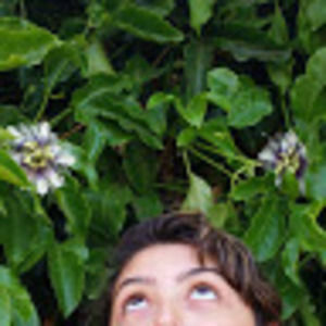 Meet your Posher, Vienna